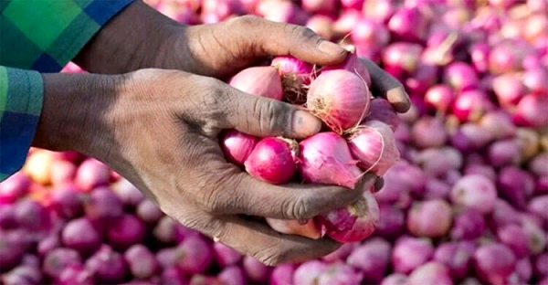 Nigerian Onion Traders Suspend Exports to Ghana