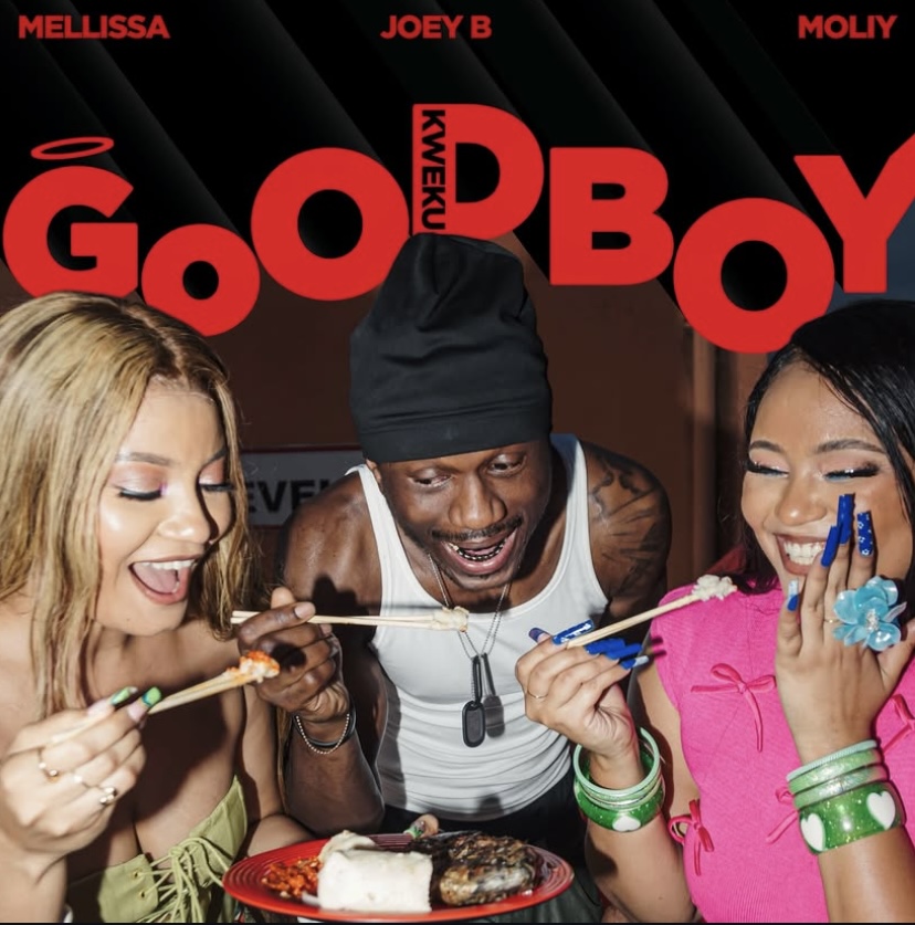 Mellissa Darlin Announces Release Date for GOOD BOY Featuring Joey B and Moliy