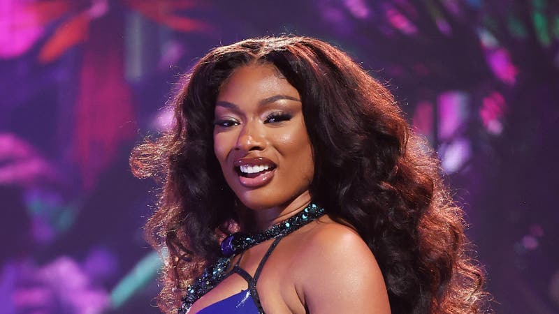 Megan Thee Stallion Faces Shocking Allegations