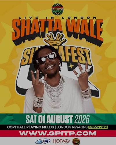 Ghana Party In The Park Organisers Clarify Incident, Denies Fatality Rumours