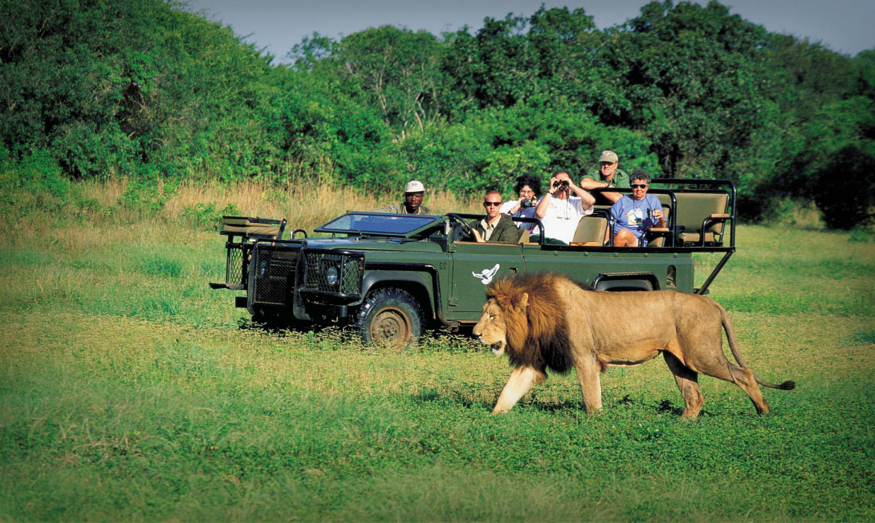 South Africa's Tourism Sector Feels Impact Of Anti-Immigrant Protests