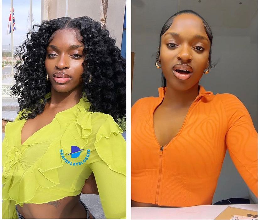 Viral Omah Lay Fan Renders Public Apology and Tells Side of Story
