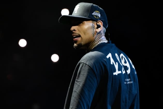 Chris Brown Pauses Performance To Check On Fan