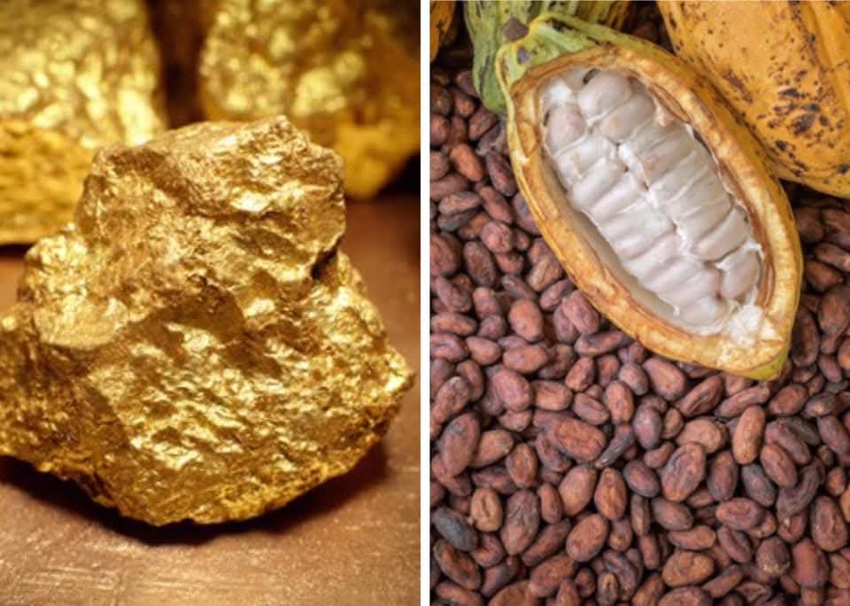 Gold And Cocoa Exports Performed Strongly In First Half Of 2026 – BoG Governor Asiama