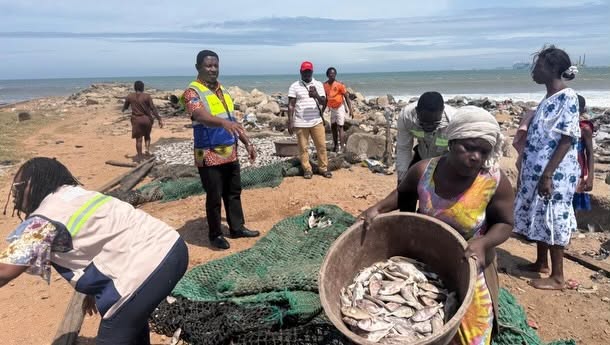 FDA Seizes Contaminated Fish After Buzstopboys Raises Concerns Over Tema New Town Processing Site